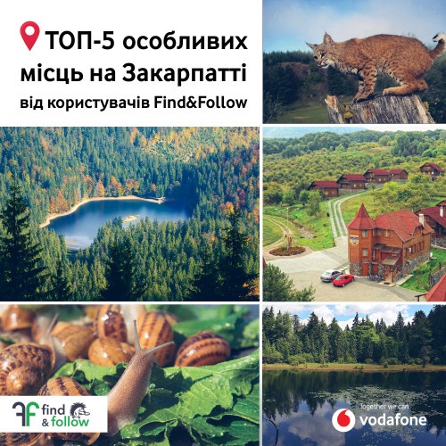 Не лише сакури, або ТОП-5 особливих місць на Закарпатті Не лише сакури, або ТОП-5 особливих місць на Закарпатті